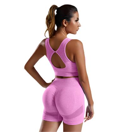 Women's Vest And Shorts Tracksuit Seamless 2pcs Yoga Set - CLOTHFN